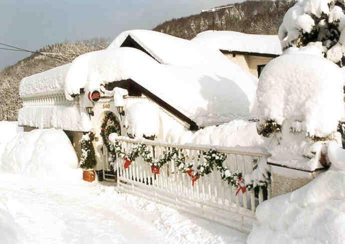 Penzion Ok Svoboda nad Úpou Exterior foto